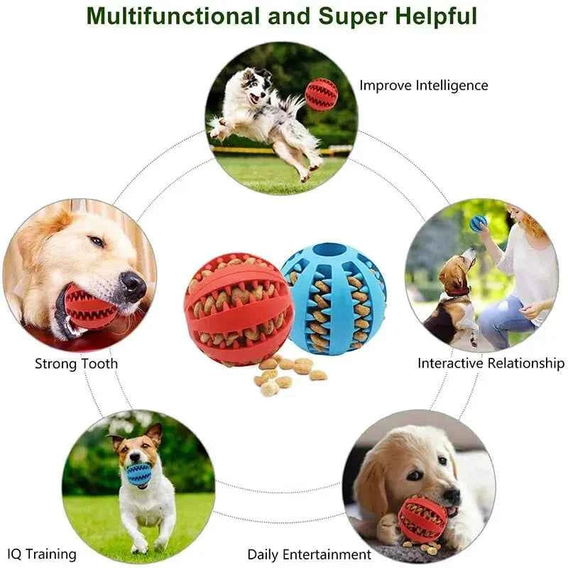 Nontoxic Dog Toy Ball – Safe and Durable Playtime for Your Pet