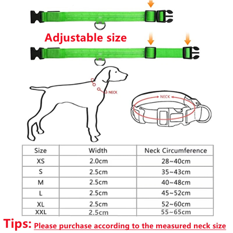 USB Rechargeable Led Glowing Dog Collar