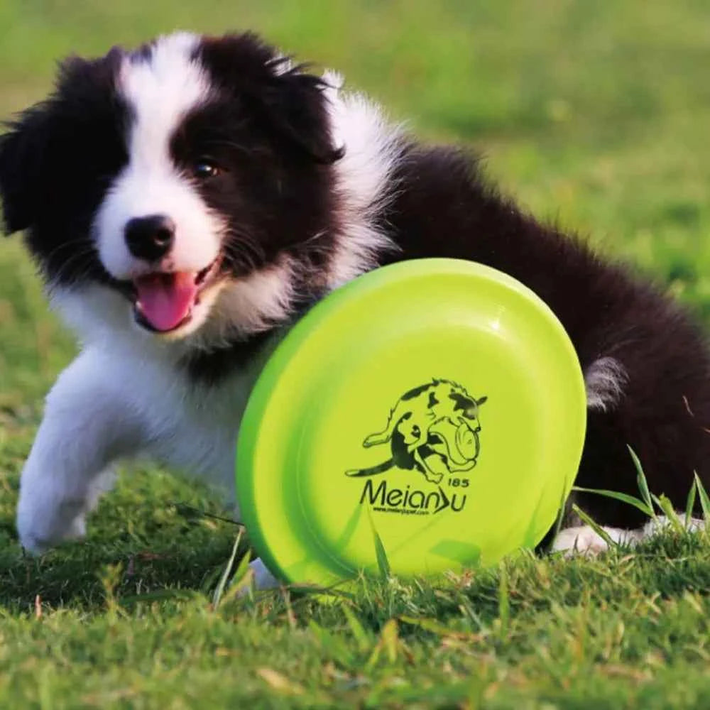 Durable Dog Training Disc - The Perfect Toy for Active Puppy and Adult Dog Training