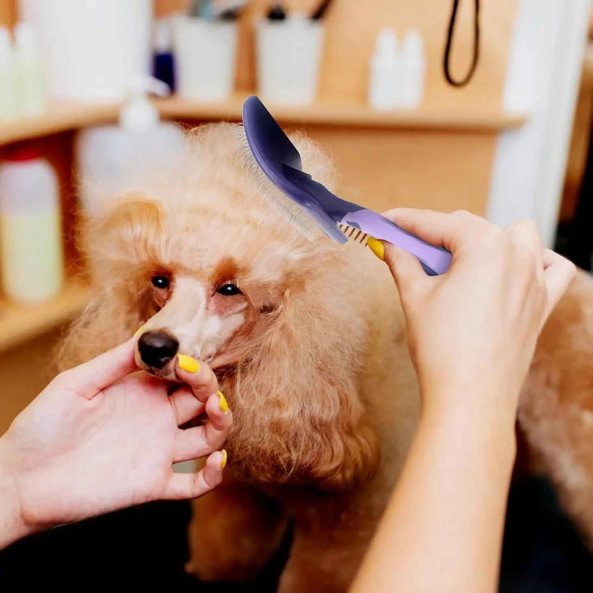 Ultimate Dog Grooming Brush for Detangling: The Perfect Solution for Poodles, German Shepherds, and More