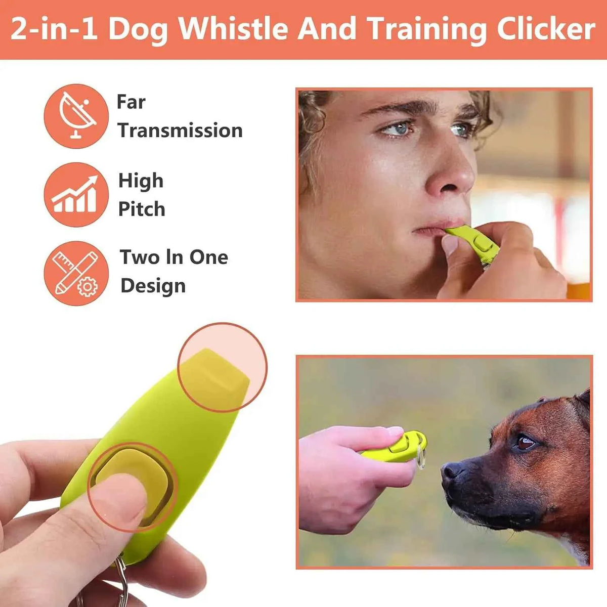 Complete Dog Training Kit: Everything You Need for Effective Training