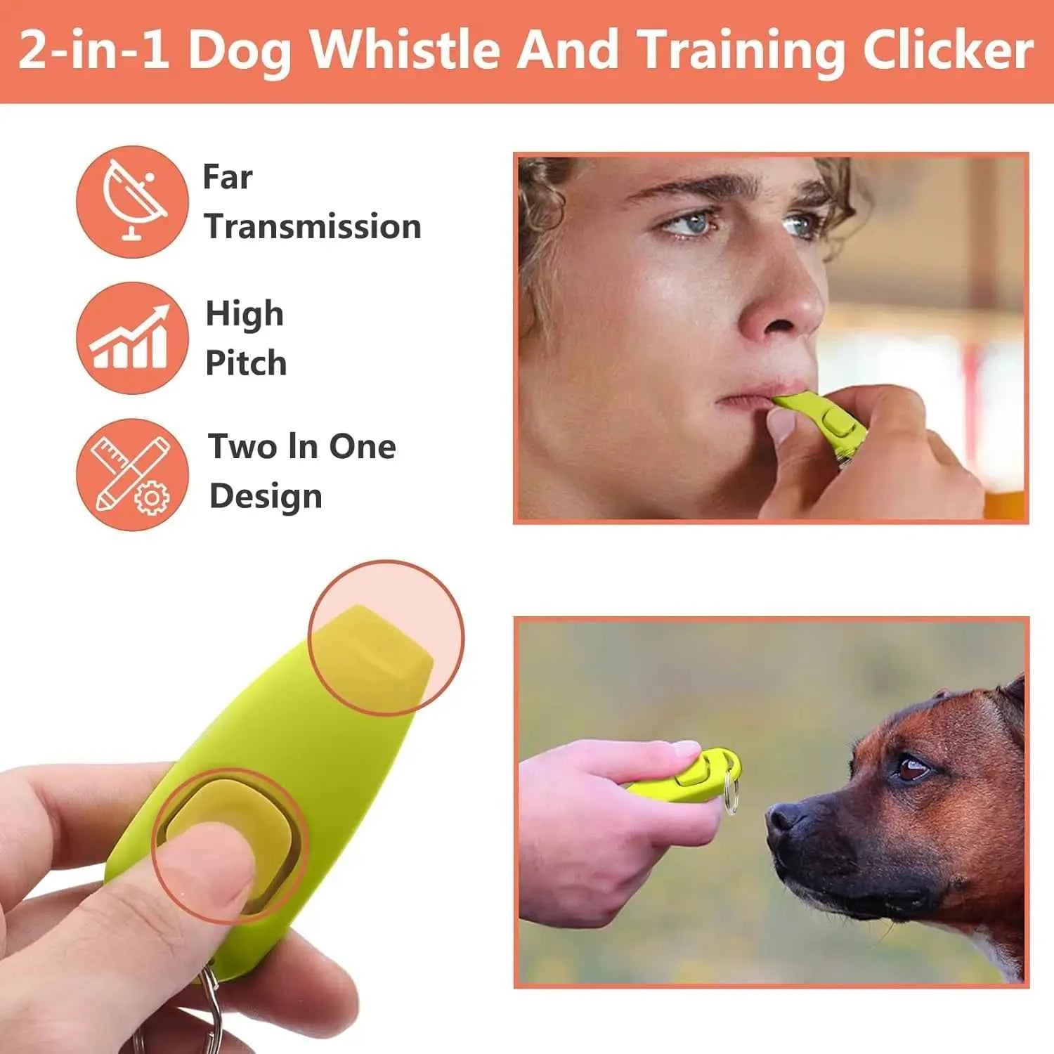 Complete Dog Training Kit: Everything You Need for Effective Training