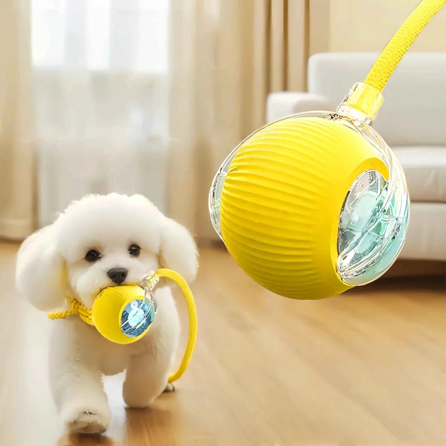 Transform Playtime with the Automatic Dog Walking Ball – Keep Your Pup Happy and Active!