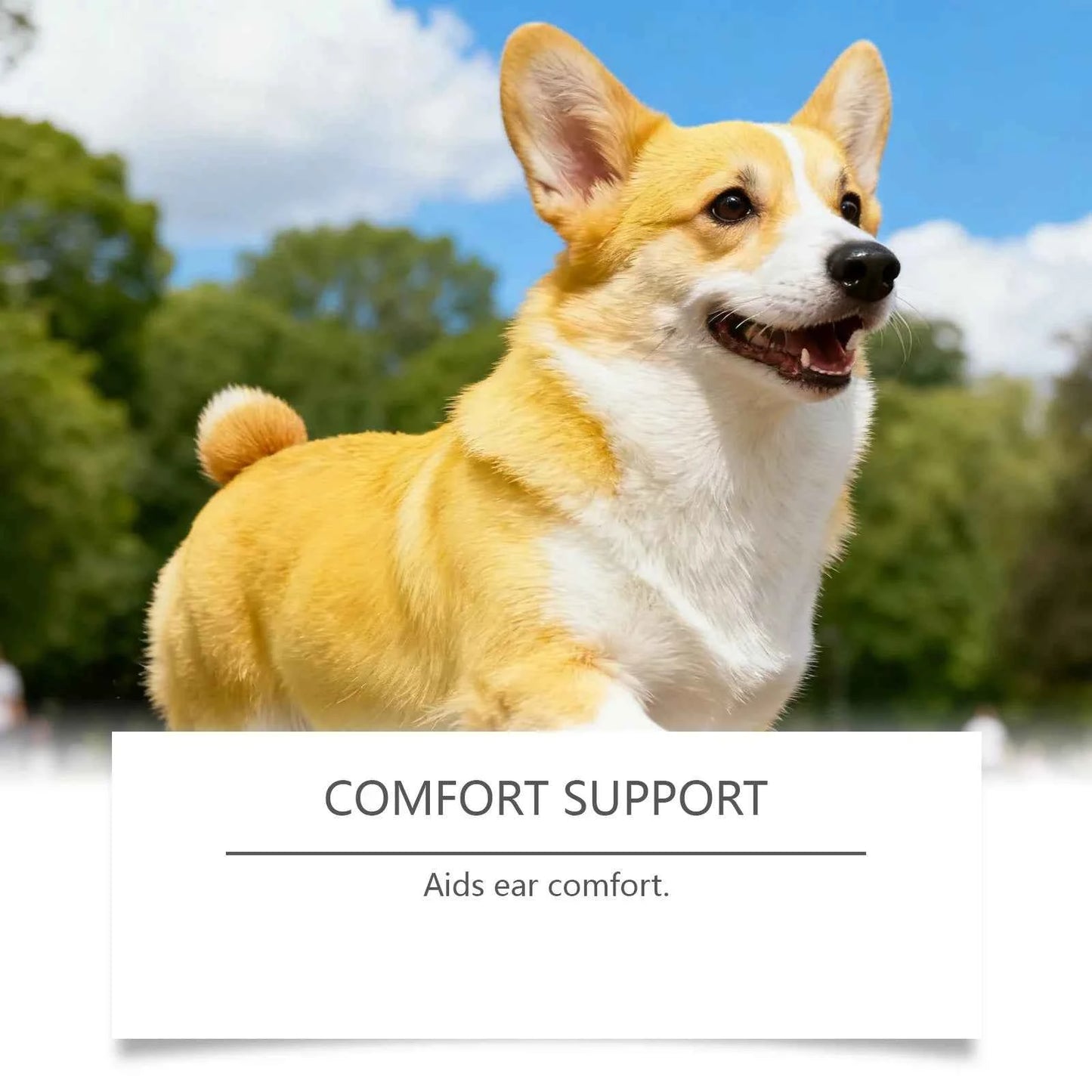 EelJoy Dog Ear Cleaner - Gentle Formula to Eliminate Odors and Relieve Itching
