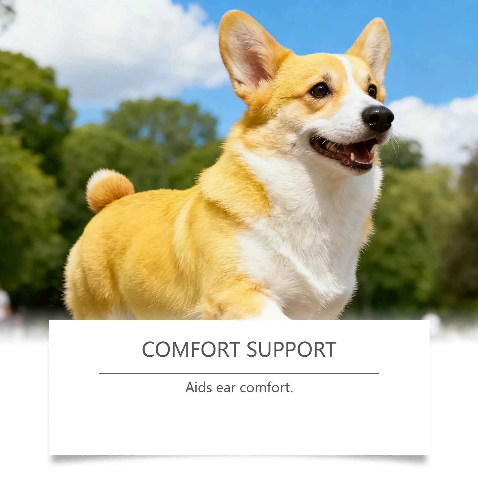 EelJoy Dog Ear Cleaner - Gentle Formula to Eliminate Odors and Relieve Itching