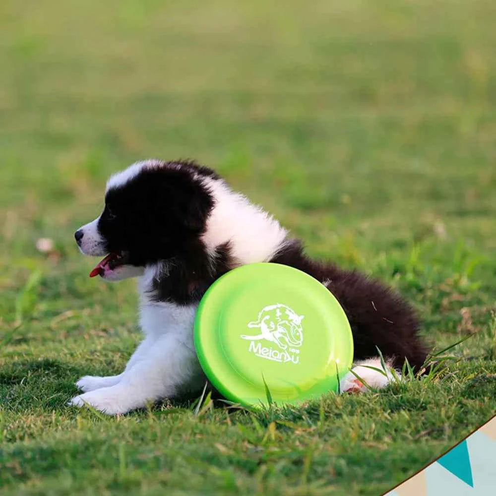 Durable Dog Training Disc - The Perfect Toy for Active Puppy and Adult Dog Training