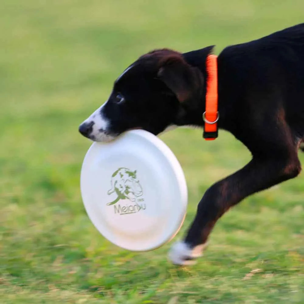 Durable Dog Training Disc - The Perfect Toy for Active Puppy and Adult Dog Training
