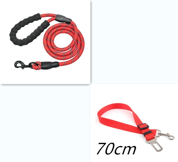 Reflective Dog Leash for Training - Pawlunexa