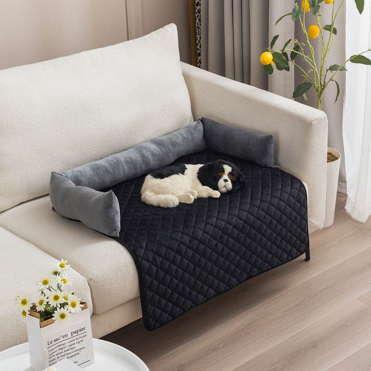 Large Dog Sofa Bed - Pawlunexa