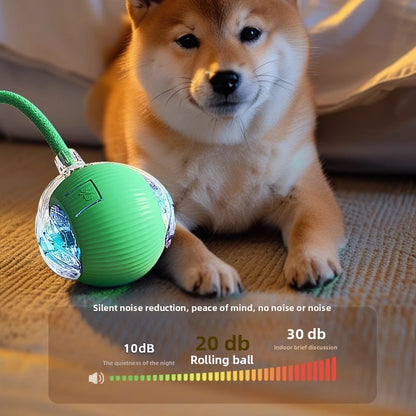 Automatic Electric Dog Toy Ball