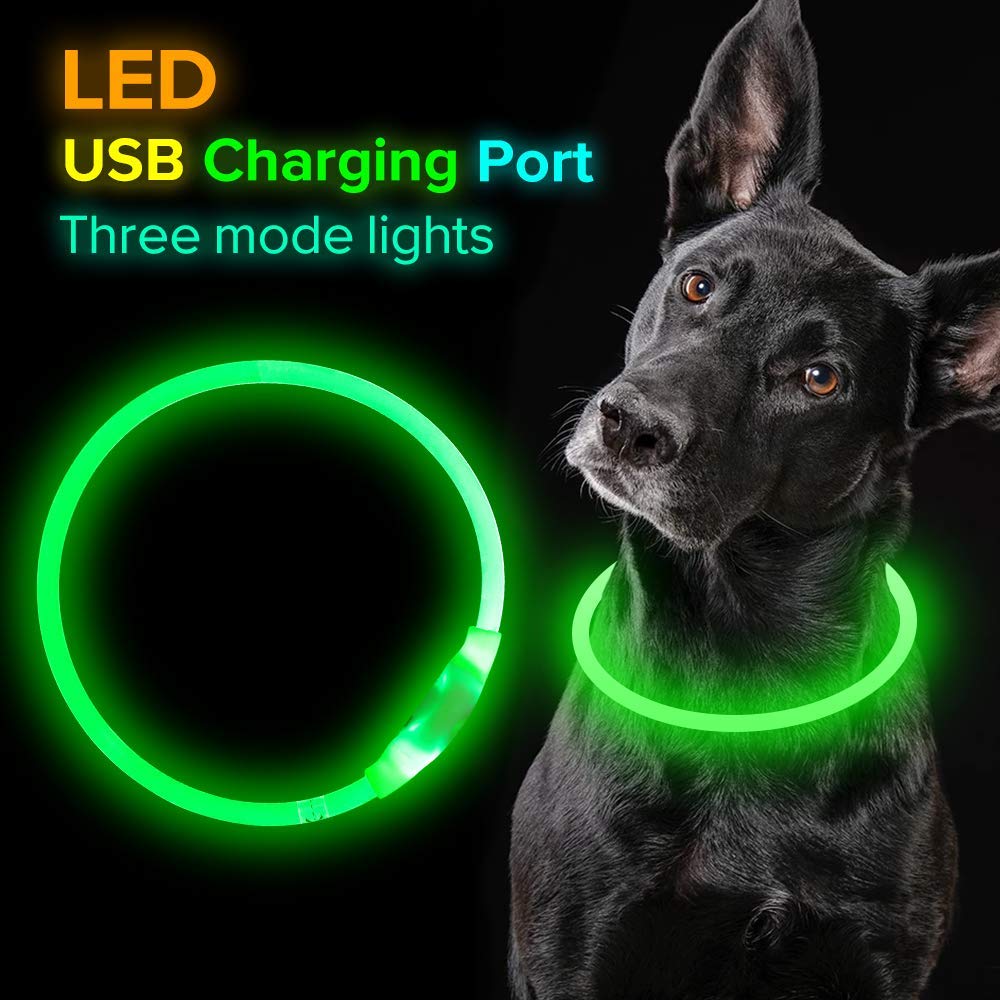 Flashing Safety Dog Collar - Pawlunexa