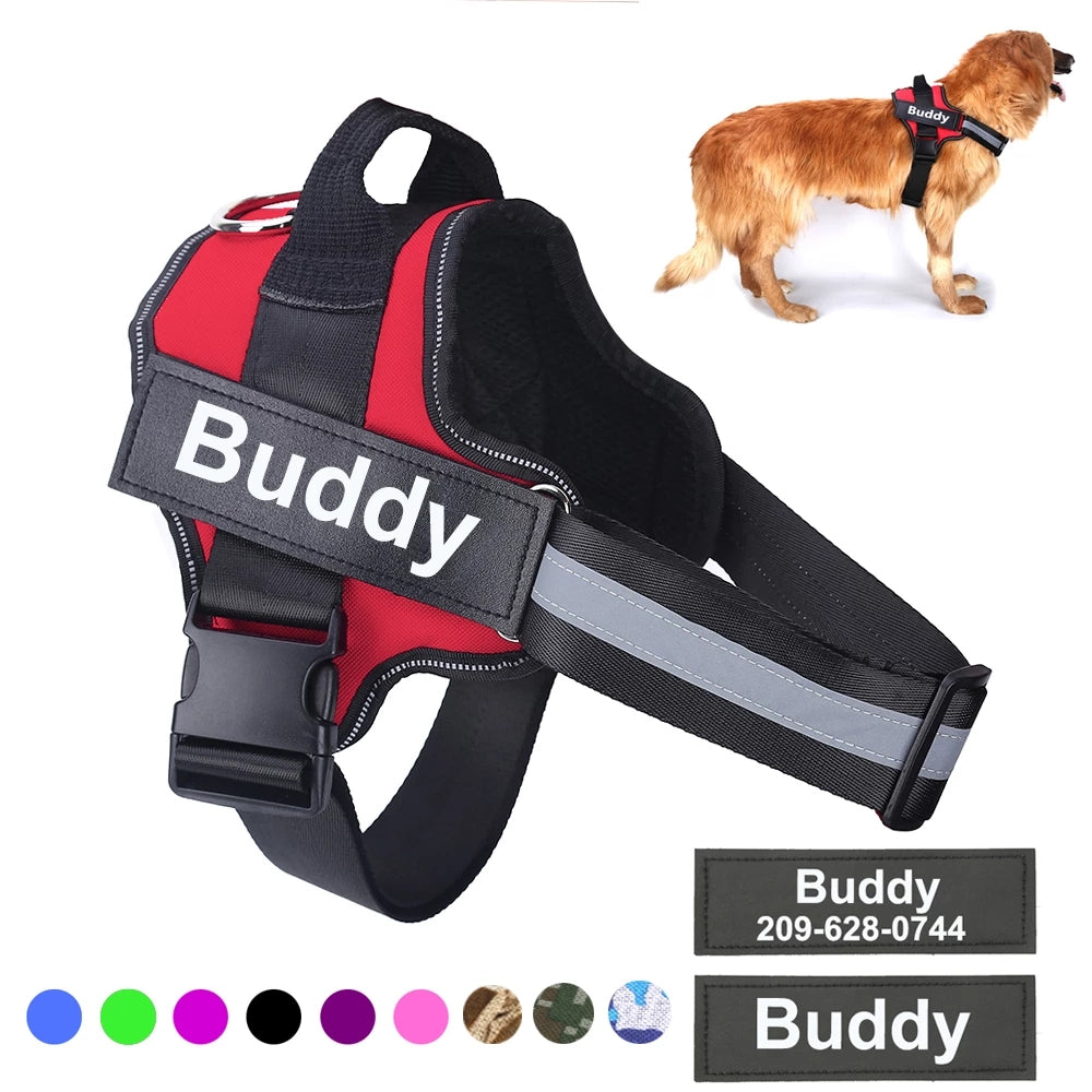 Personalized No Pull Dog Harness - Pawlunexa
