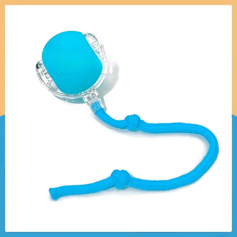 Automatic Electric Dog Toy Ball