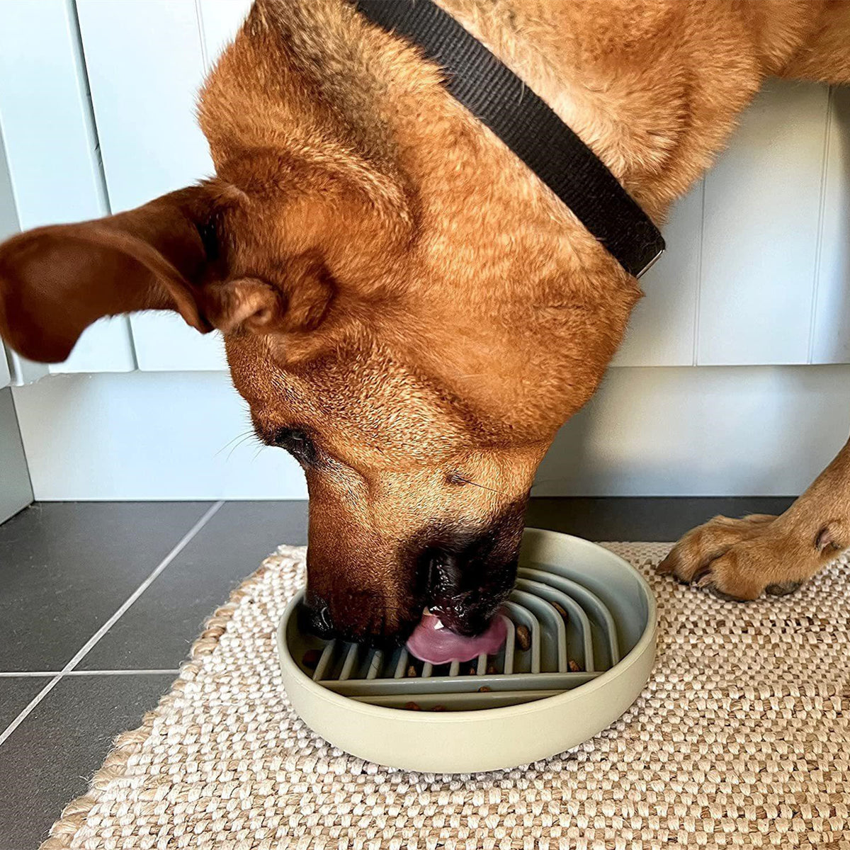 Non-Slip Pet Slow Feeding Bowl - Pawlunexa