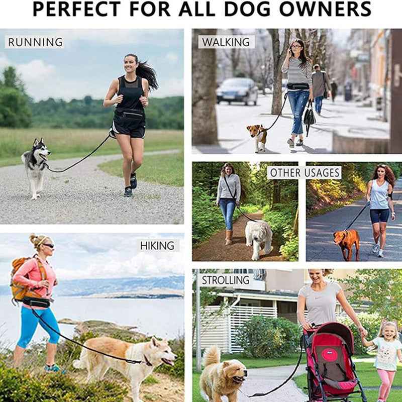 hands free dog leash