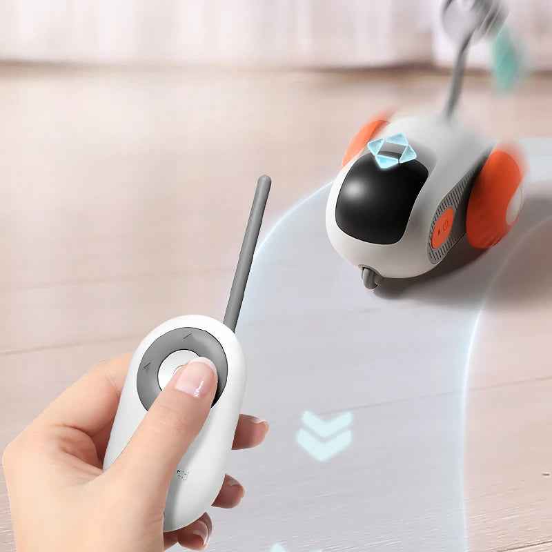 Interactive Cat Toy with Remote Control