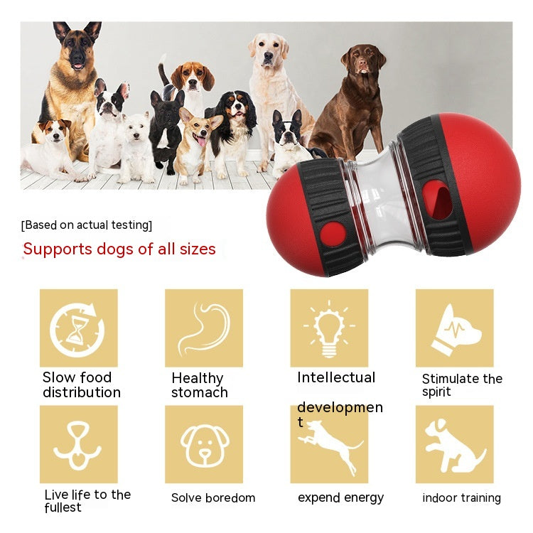 Interactive Dog Food Puzzle Toy - Pawlunexa