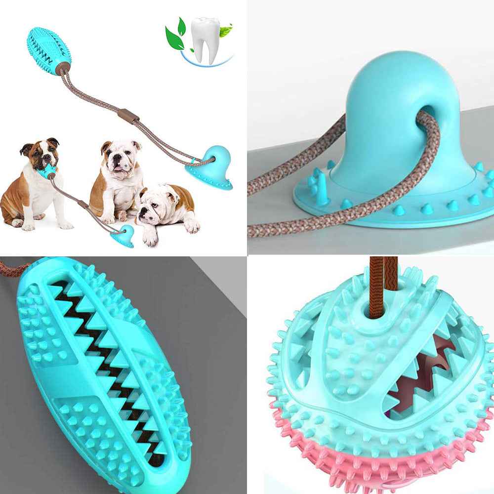 Interactive Dog Tug Toy