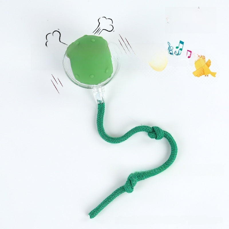Automatic Electric Dog Toy Ball