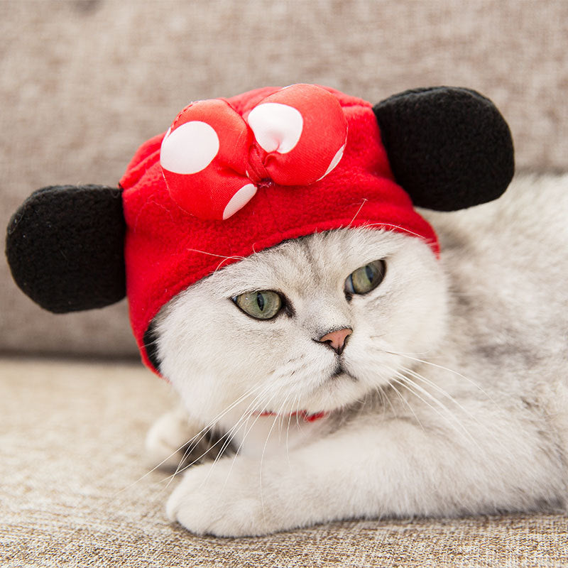 Cute Cat Dress Up Accessories - Pawlunexa