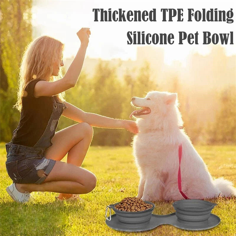 Foldable Pet Feeding Bowls - Pawlunexa
