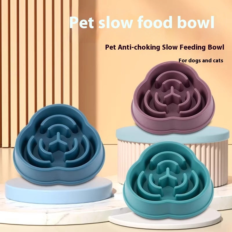 Pet Slow Feeding Bowl - Pawlunexa
