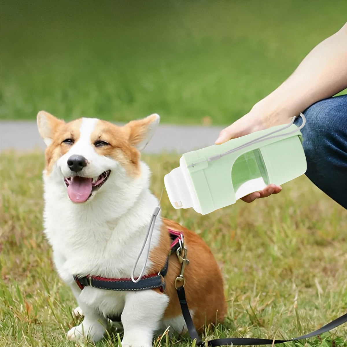 Portable Dog Water Bottle - Pawlunexa