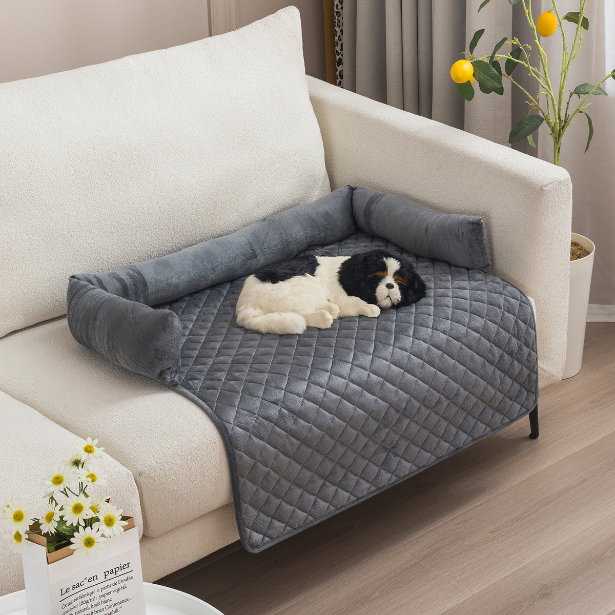 Large Dog Sofa Bed - Pawlunexa