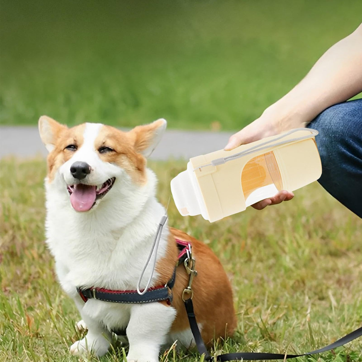 Portable Dog Water Bottle - Pawlunexa