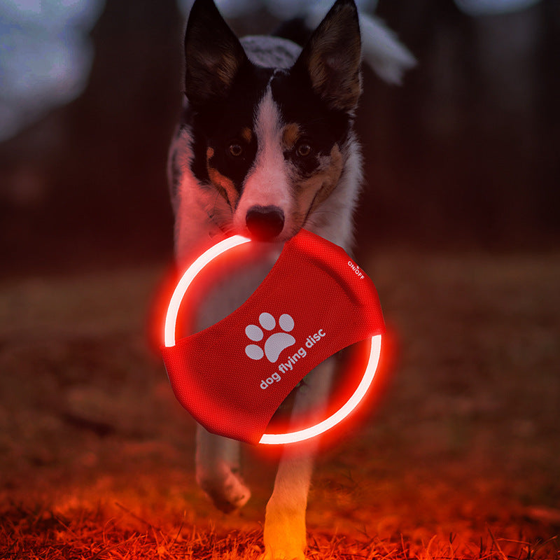 LED Dog Flying Disc - Pawlunexa