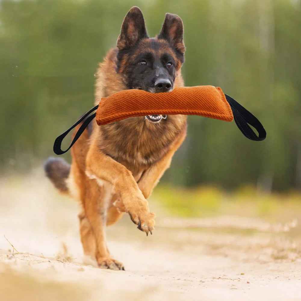 Durable Dog Bite Pillow