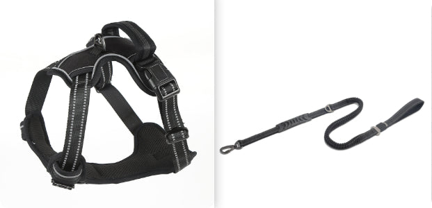 No Pull Dog Harness - Pawlunexa
