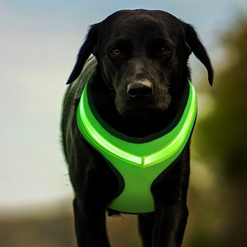 LED Dog Harness USB Rechargeable - Pawlunexa