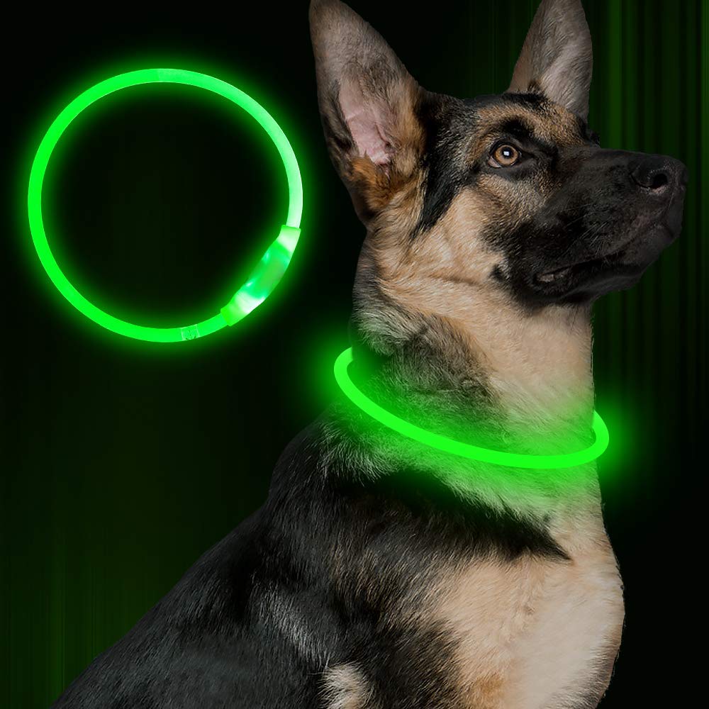 Flashing Safety Dog Collar - Pawlunexa