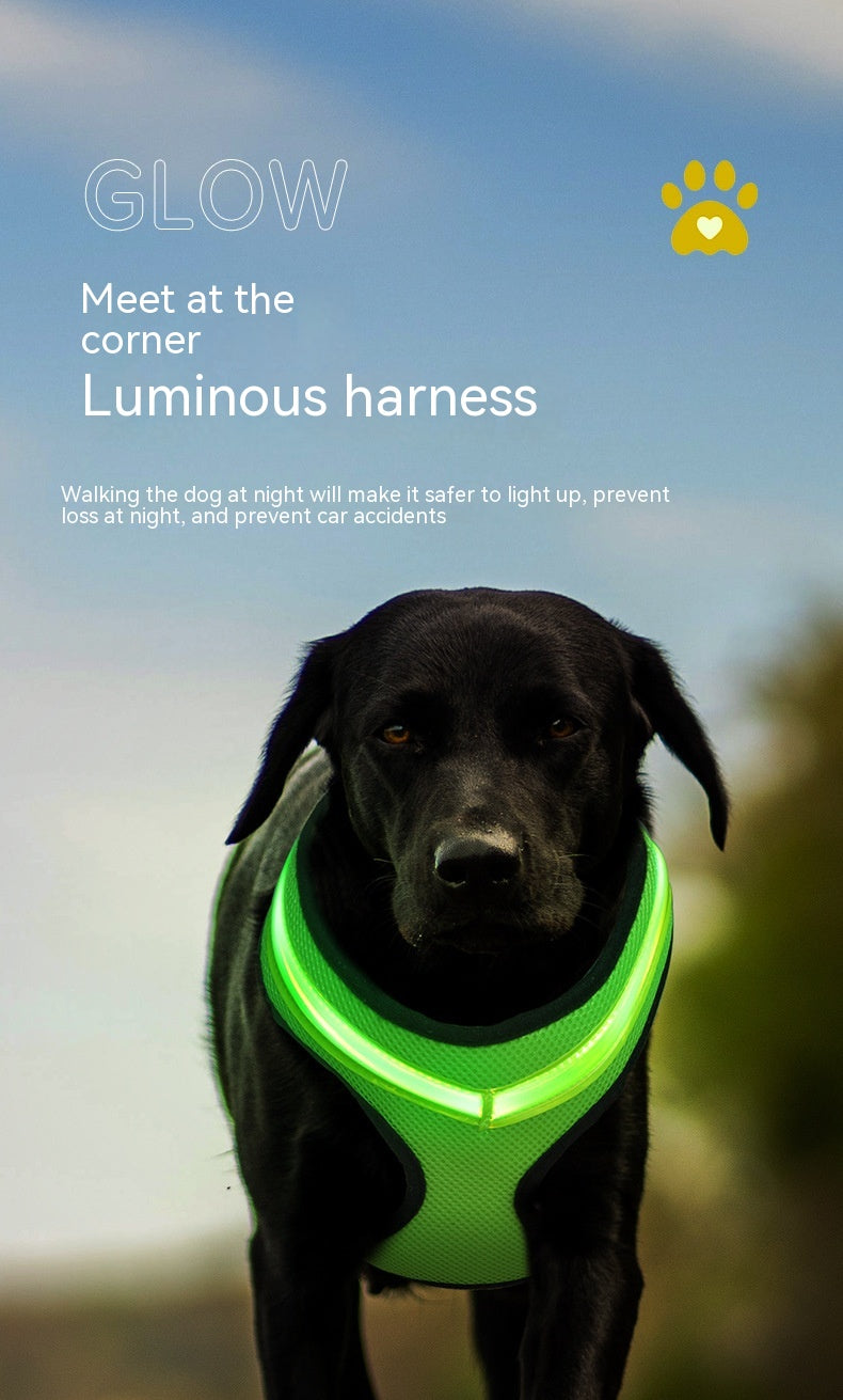 LED Dog Harness USB Rechargeable - Pawlunexa