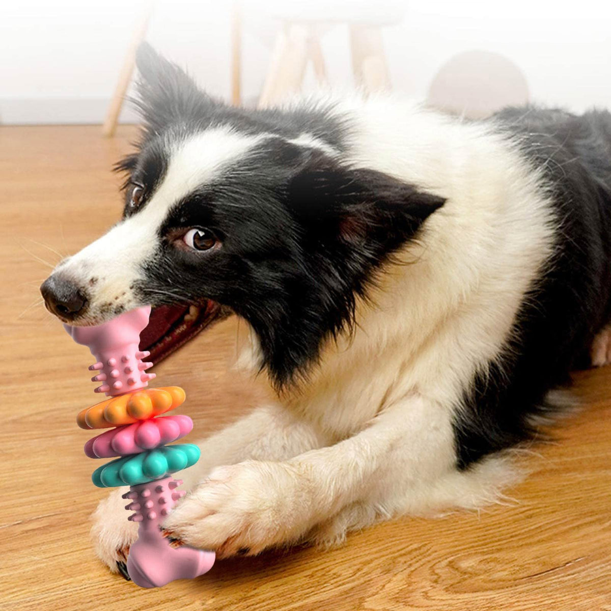 Indestructible Dog Chew Toy - Pawlunexa