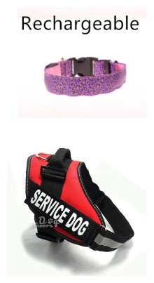 LED dog collar safety - Pawlunexa