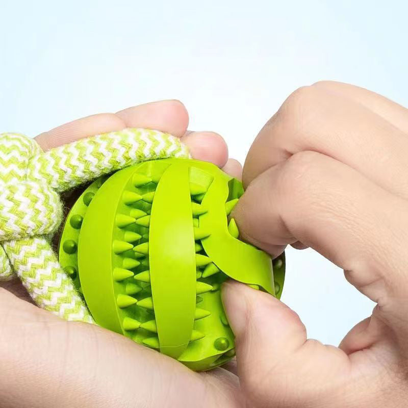 Interactive Dog Chewing Toy - Pawlunexa