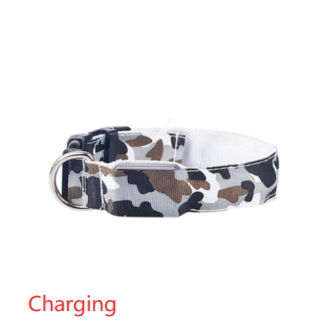 luminous dog collar - Pawlunexa