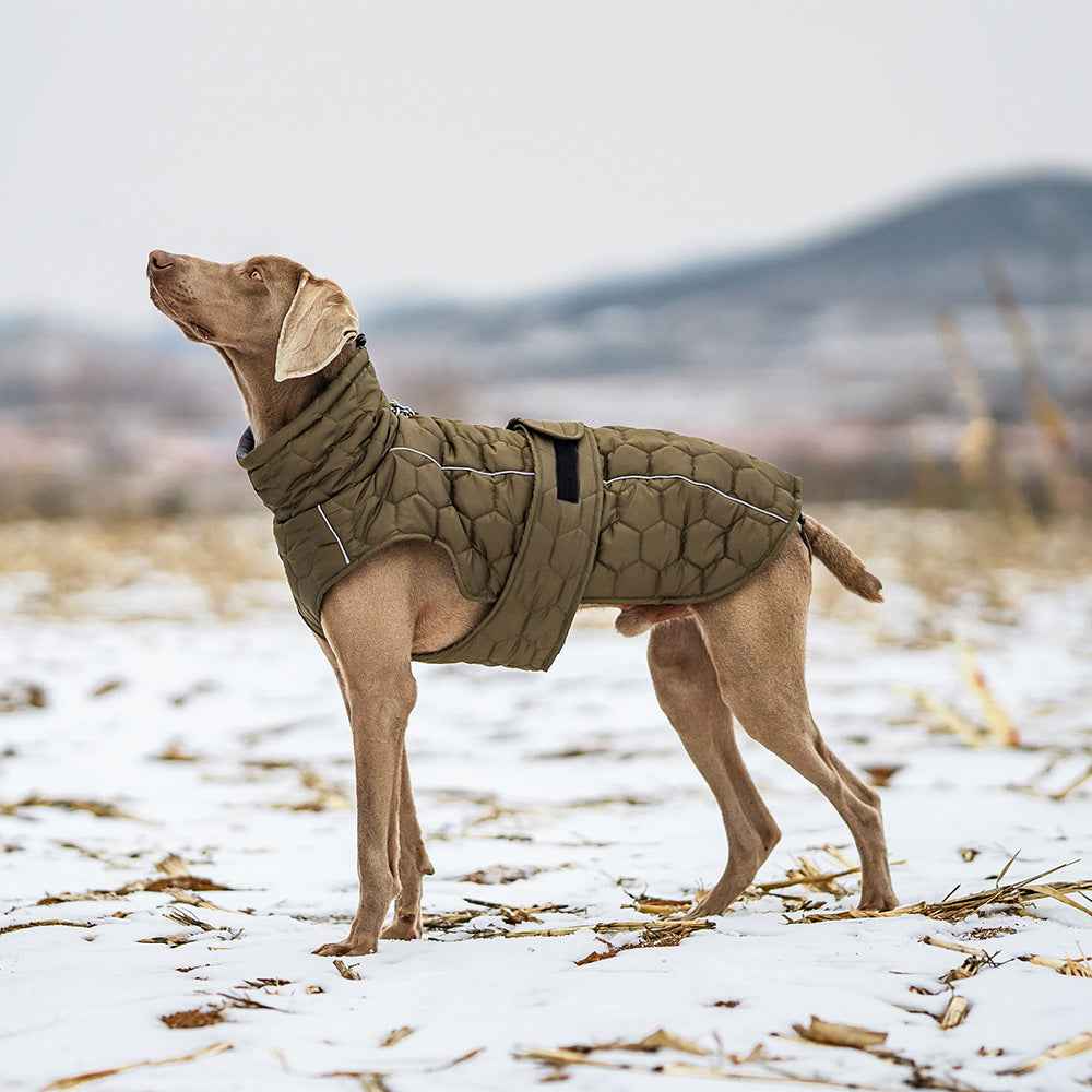 Thickened Winter Dog Clothing