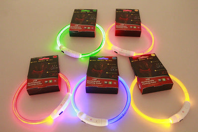 Flashing Safety Dog Collar - Pawlunexa