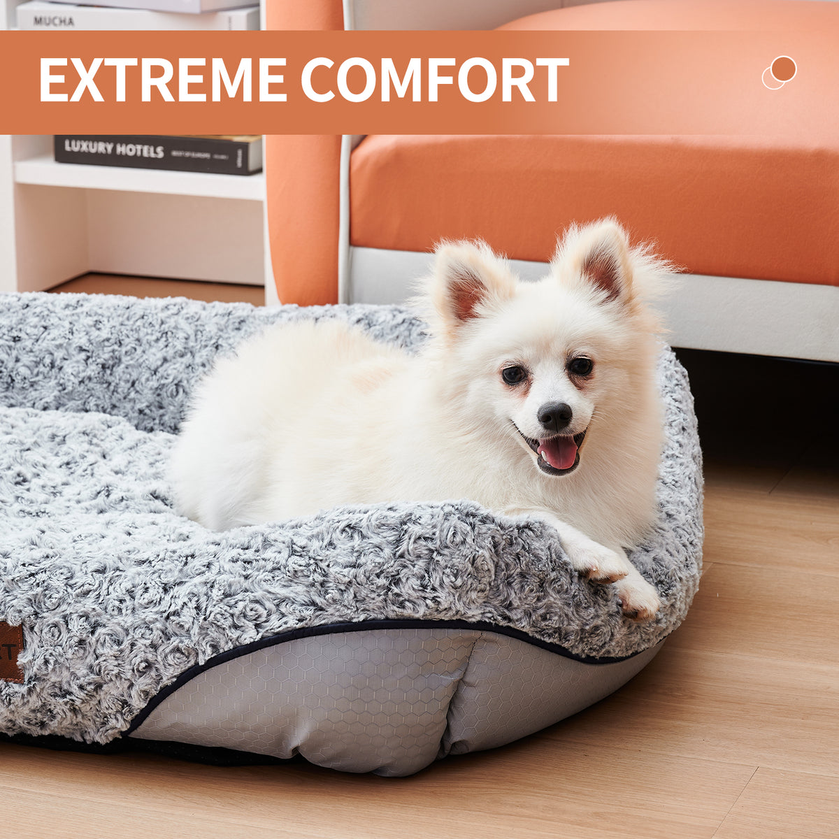 Calming Dog Beds for Small Dogs - Pawlunexa