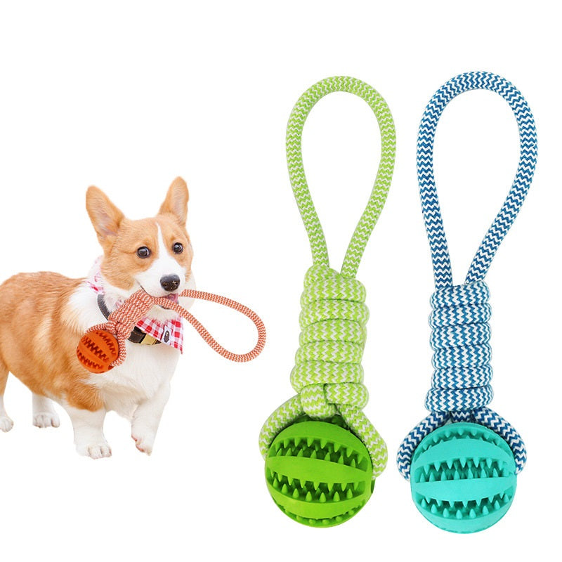 Interactive Dog Chewing Toy - Pawlunexa