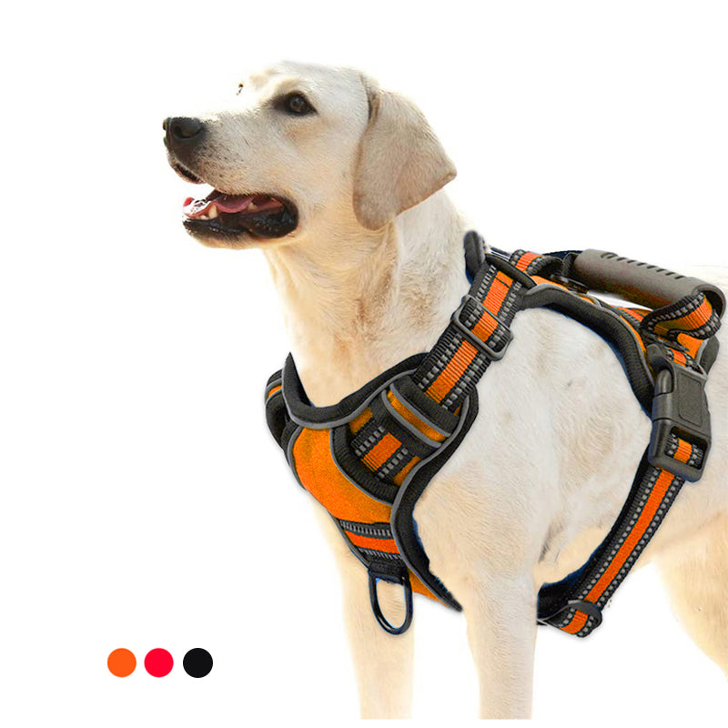 No Pull Dog Harness - Pawlunexa