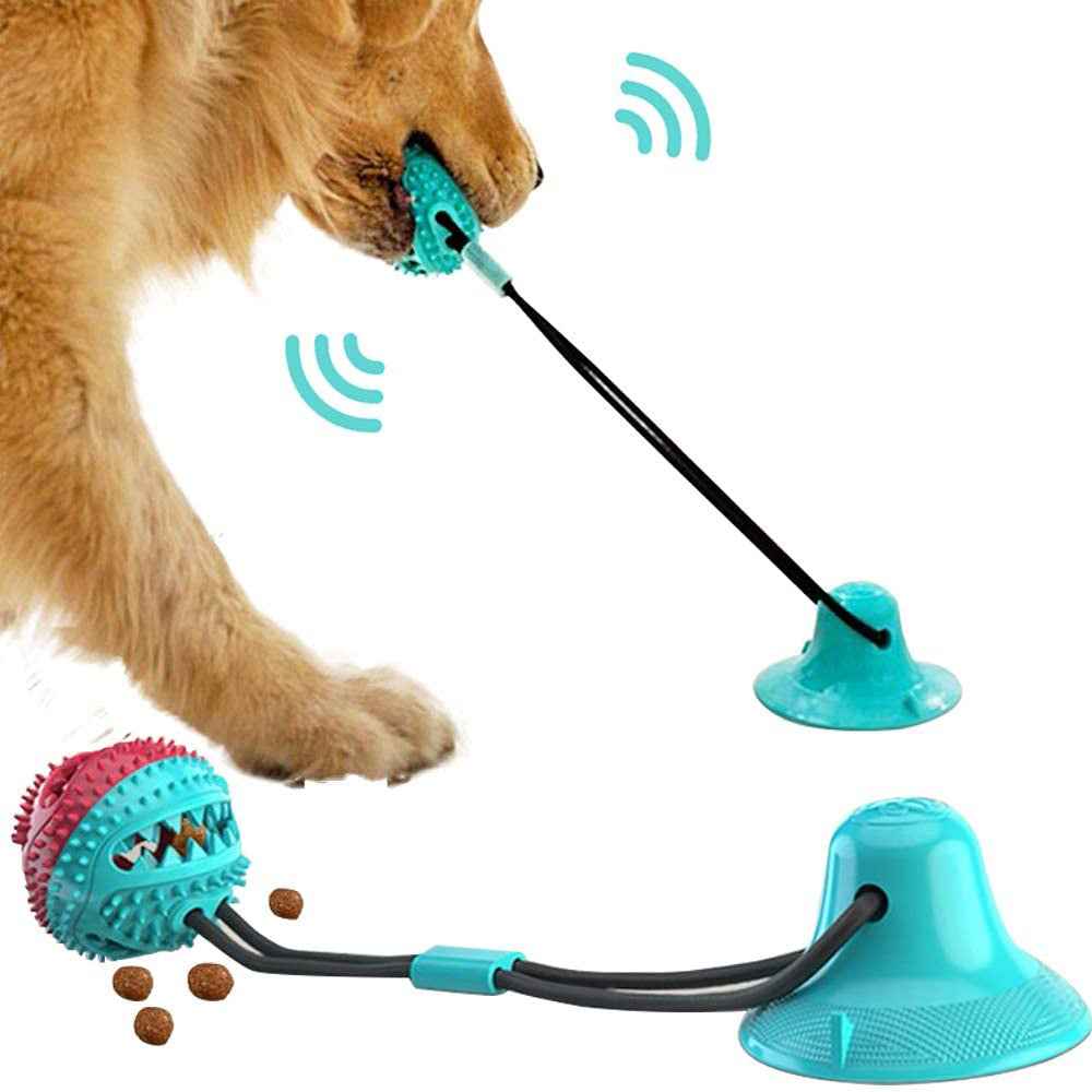 Interactive Dog Tug Toy