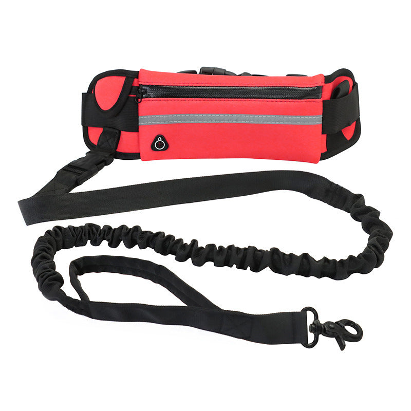 hands free dog leash - Pawlunexa