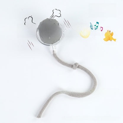 Automatic Electric Dog Toy Ball