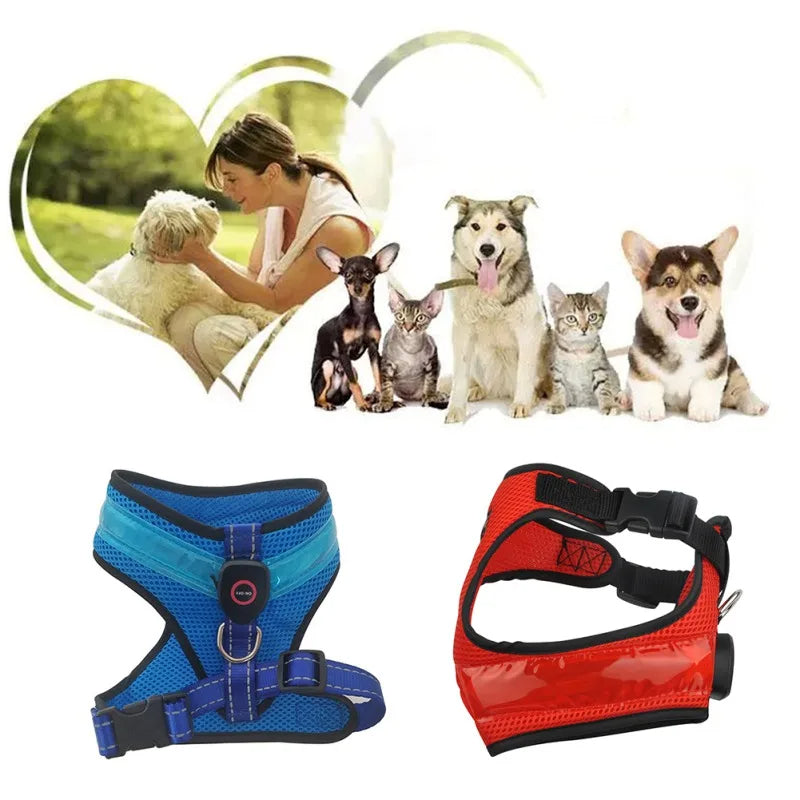 LED Dog Harness USB Rechargeable - Pawlunexa