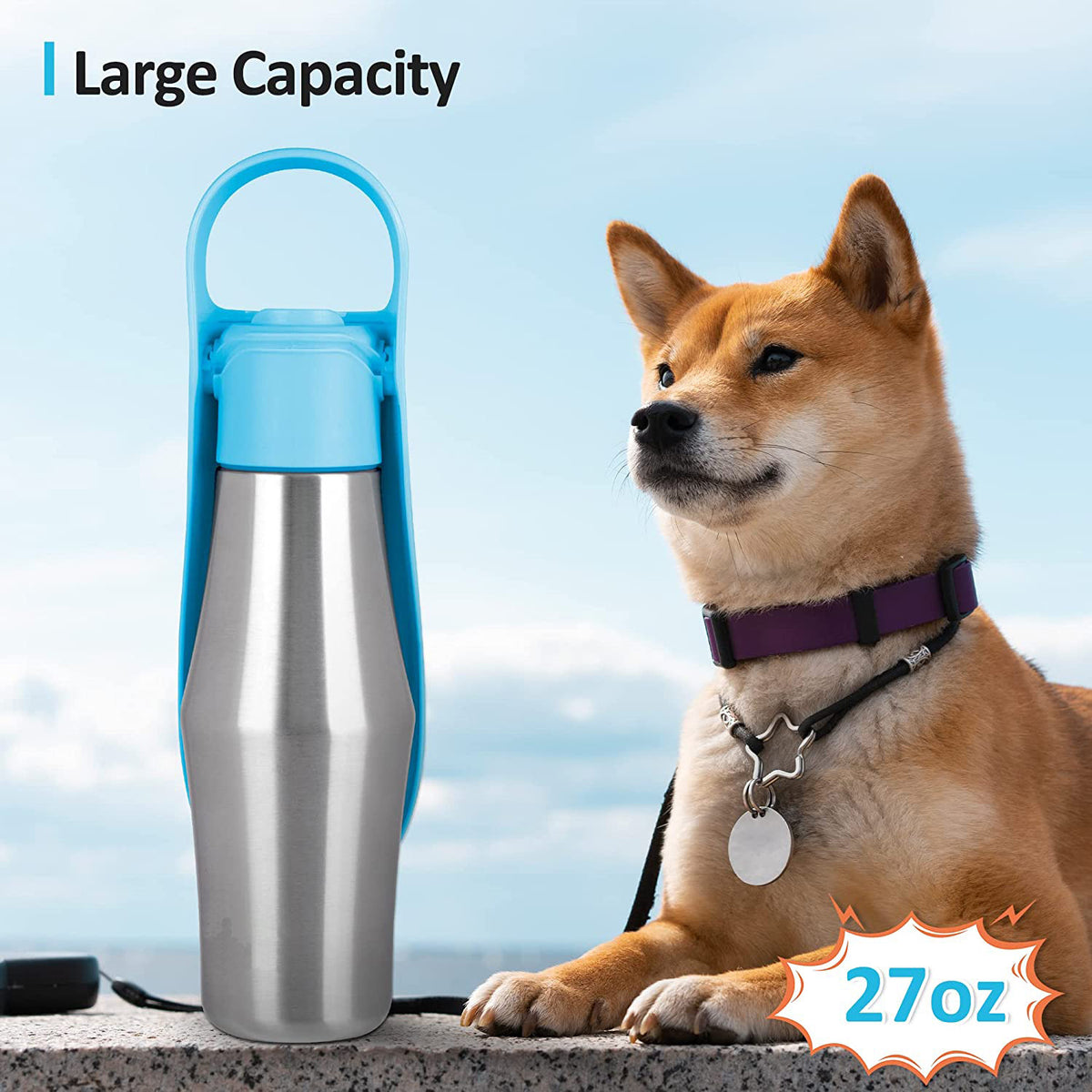 Hydrate Your Dog Anywhere - Pawlunexa