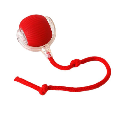 Automatic Electric Dog Toy Ball